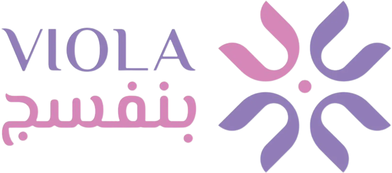 logo 13