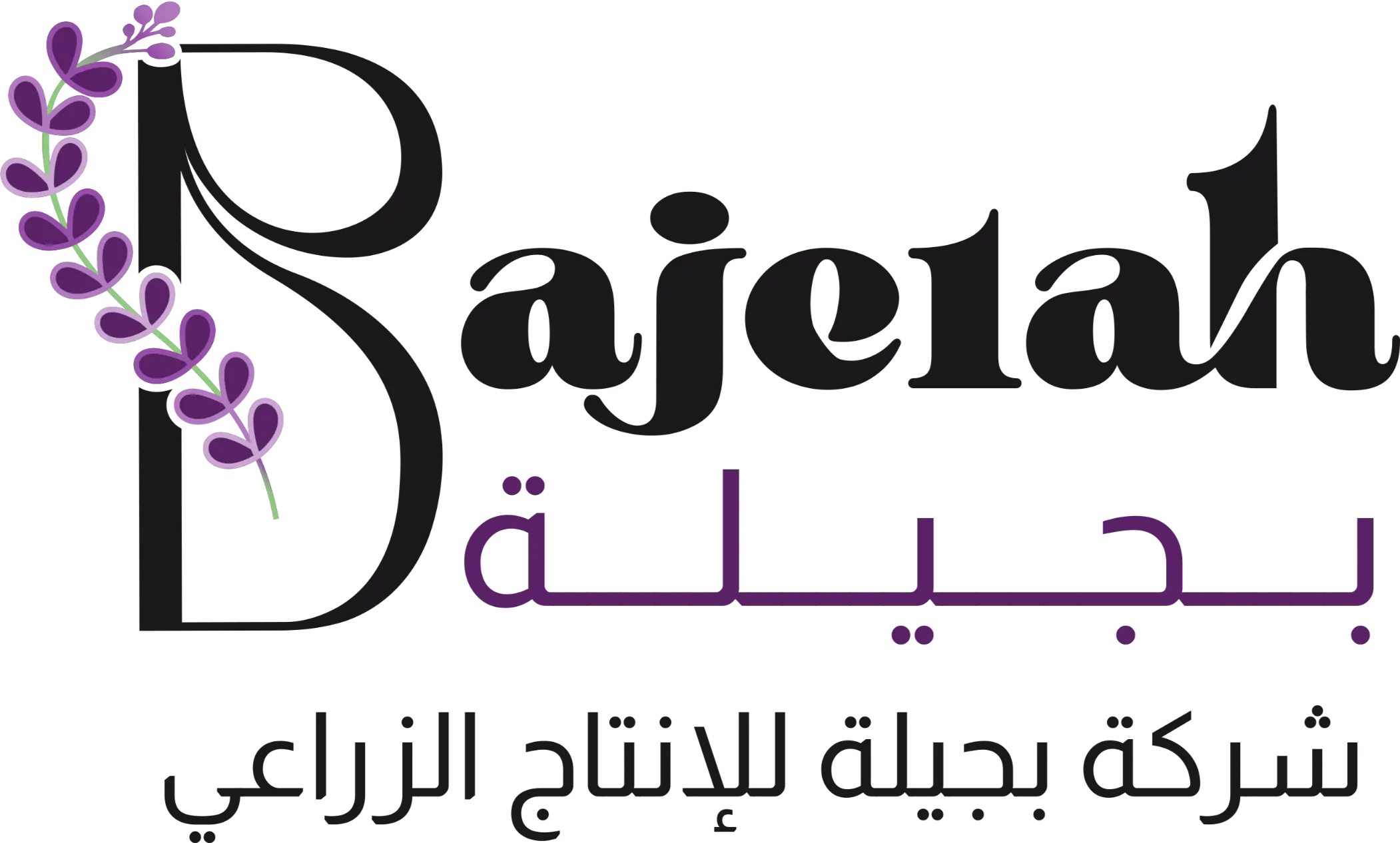 logo 16