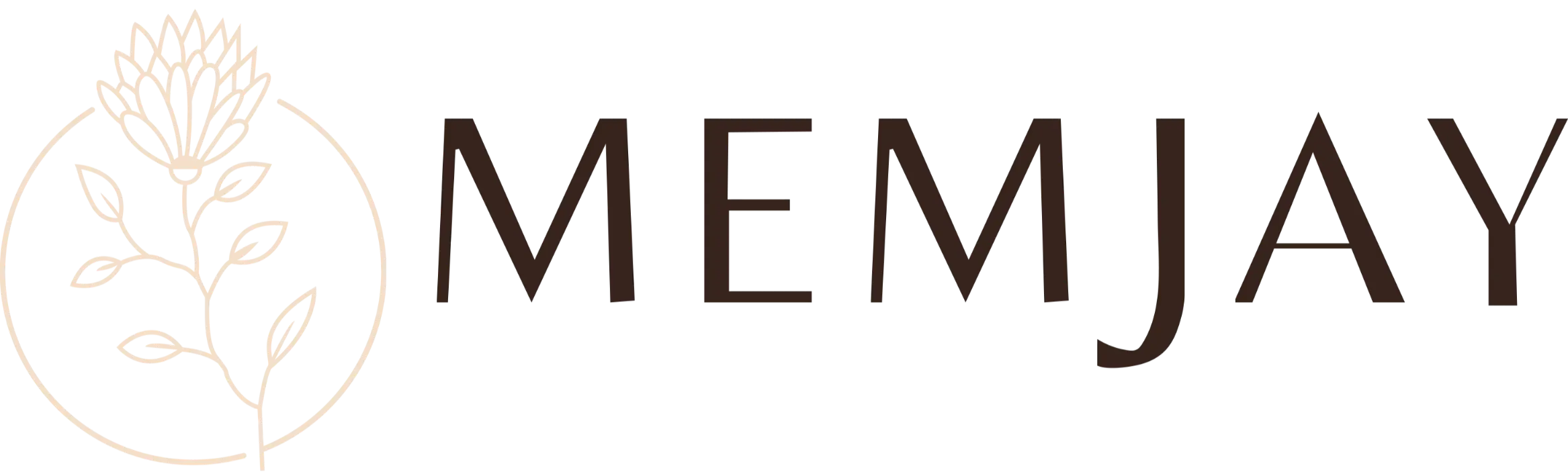 logo 31